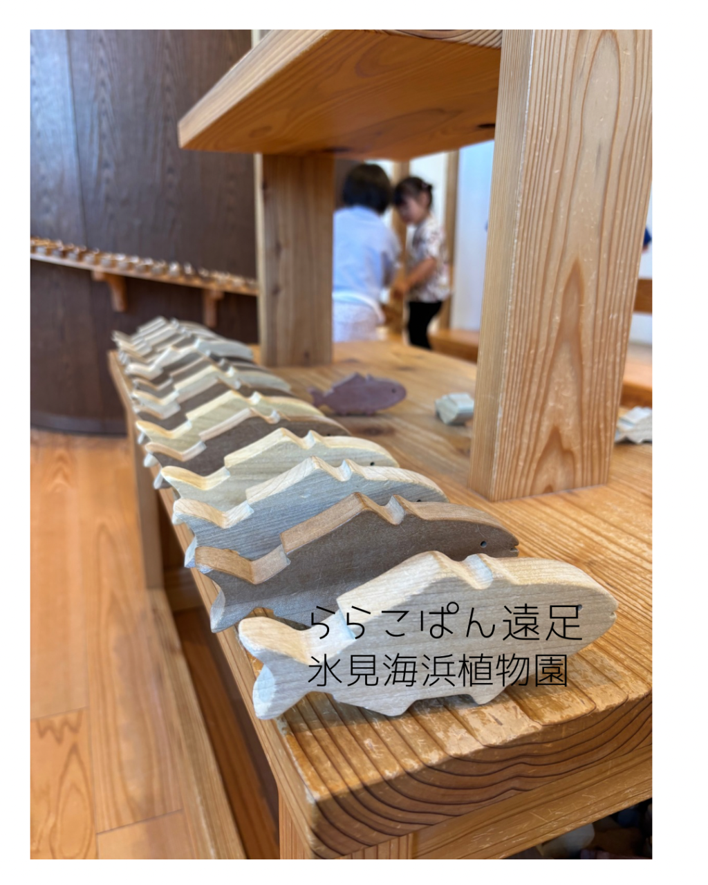 氷見海浜植物園